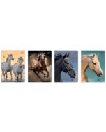 Zeszyt A5/16K kratka 70g UV Wild Horses (20szt)