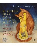 Dlaczego oczy kota świecą w nocy?