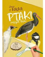 Ptaki naszych lasów. Zeszyt z kalką