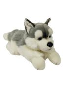 Pies Husky 61cm