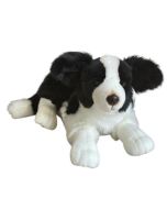 Pies Border collie 45cm