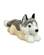 Pies Husky 42cm