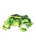 Żaba 28cm
