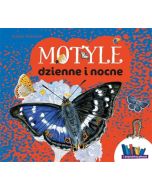 Motyle dzienne i nocne