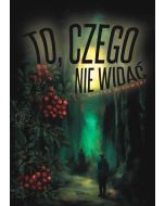 To, czego nie widać