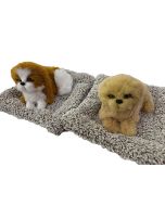 Piesek pluszowy na poduszce z dźwiękiem MIX