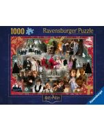 Puzzle 2D: Wakacje w Hogwart 1000el