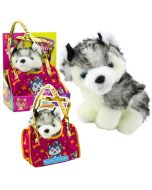 Piesek Husky w torebce pluszowy