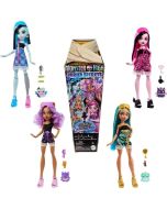 Monster High. Ukryte sekrety Lalka i akcesoria mix