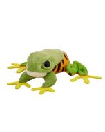 Żaba chwytnica moreleta 10cm