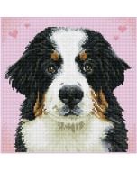 Diamond Dotz Adults - Say Hello to Zuzu