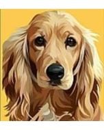 Malowania po numerach 22x22cm MIX