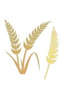 Zestaw wykrojników kłosy pszenicy 2szt