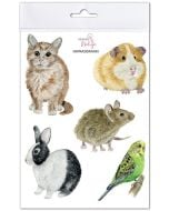 Naprasowanki Zwierzęta domowe