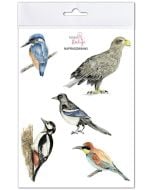 Naprasowanki Ptaki 1