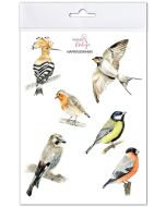 Naprasowanki Ptaki 2