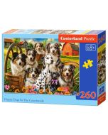 Puzzle 260 Happy Dogs In The Countryside CASTOR